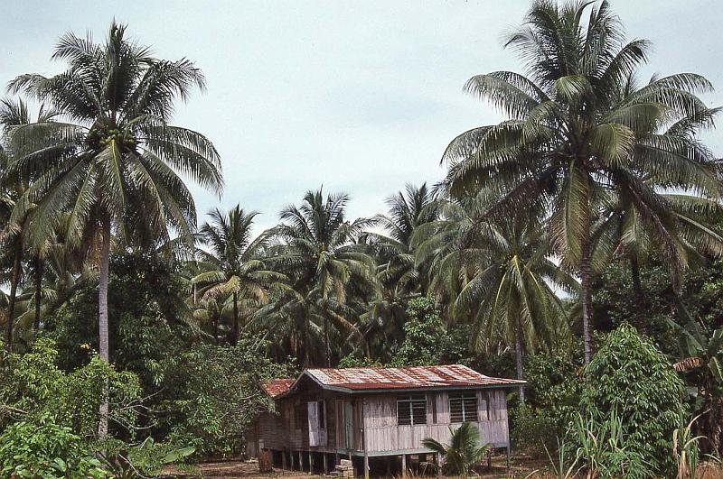 WT 0700 110-33 Malaysia.jpg